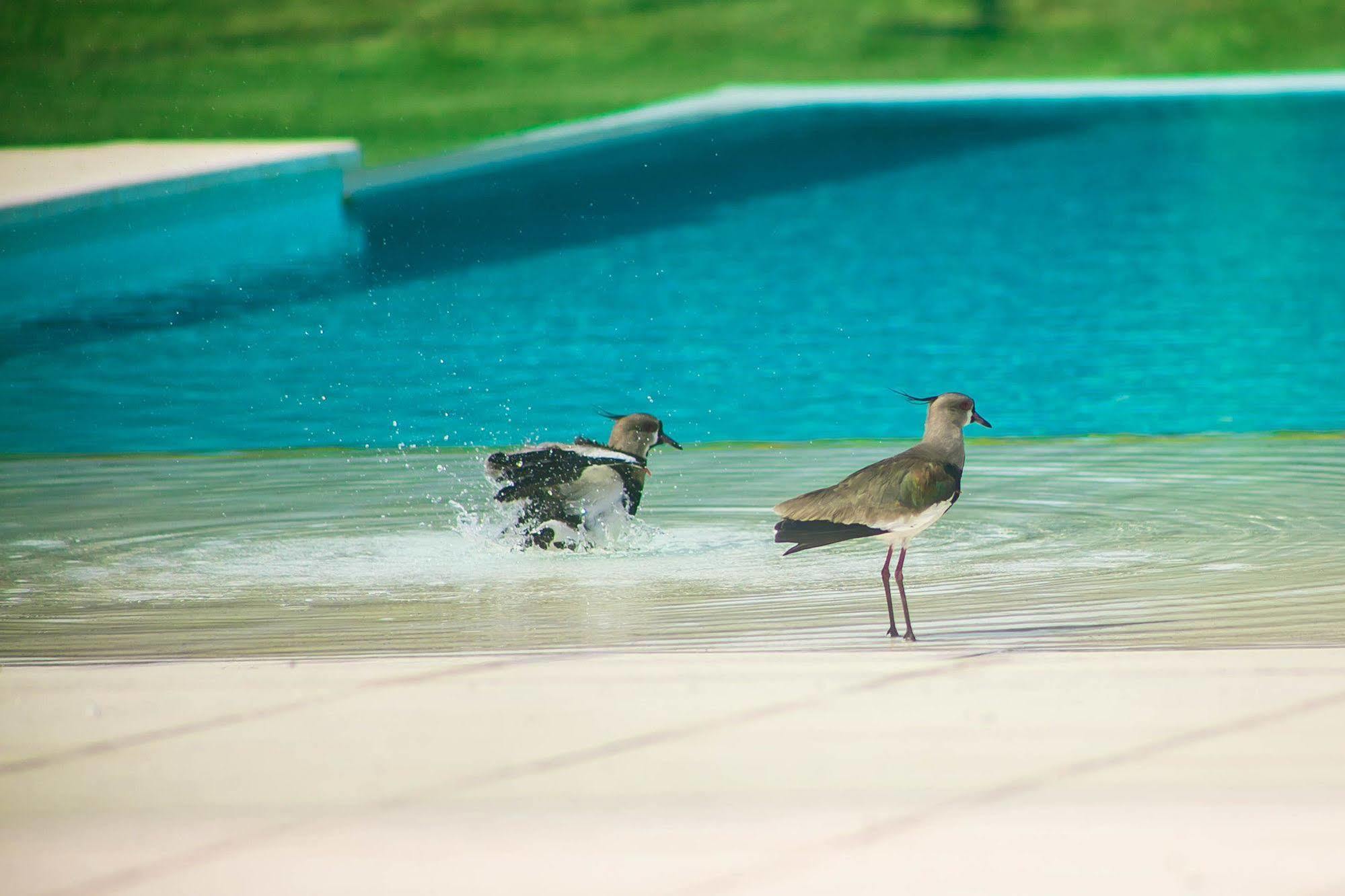 Amérian Villa Maria Park Hotel Kültér fotó